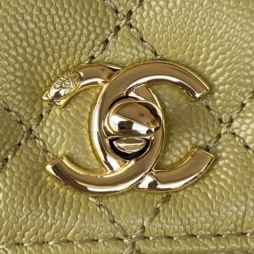 Mini Top Handle Flap Bag (𝑐𝑜𝑐𝑜 ℎ𝑎𝑛𝑑𝑙𝑒)