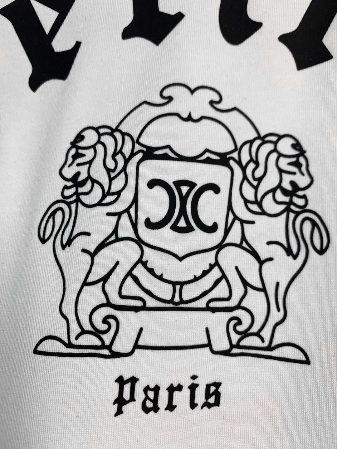 Unisex Velvet Lettering T-Shirt – Oversized Fit