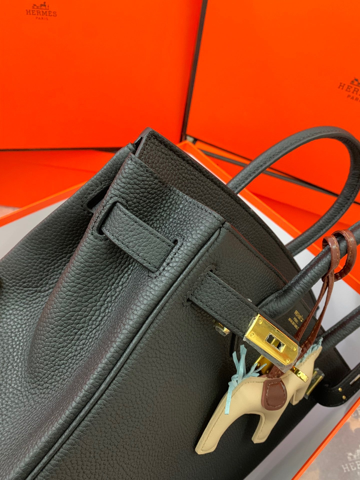 Birkin Platinum Color-Blocked Women's Bag from the Exclusive TOGO Series