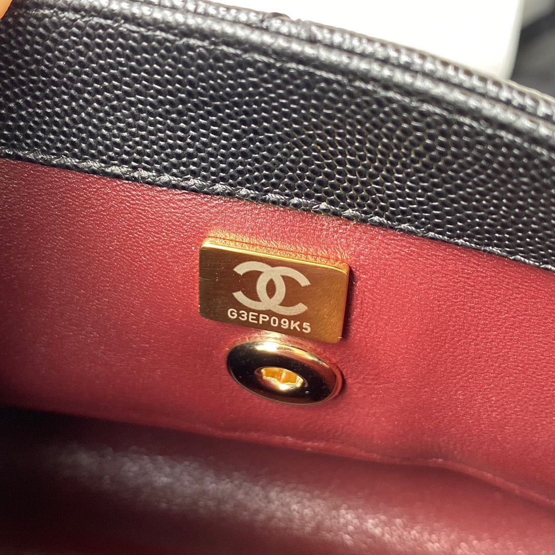 Mini Top Handle Flap Bag (𝑐𝑜𝑐𝑜 ℎ𝑎𝑛𝑑𝑙𝑒)