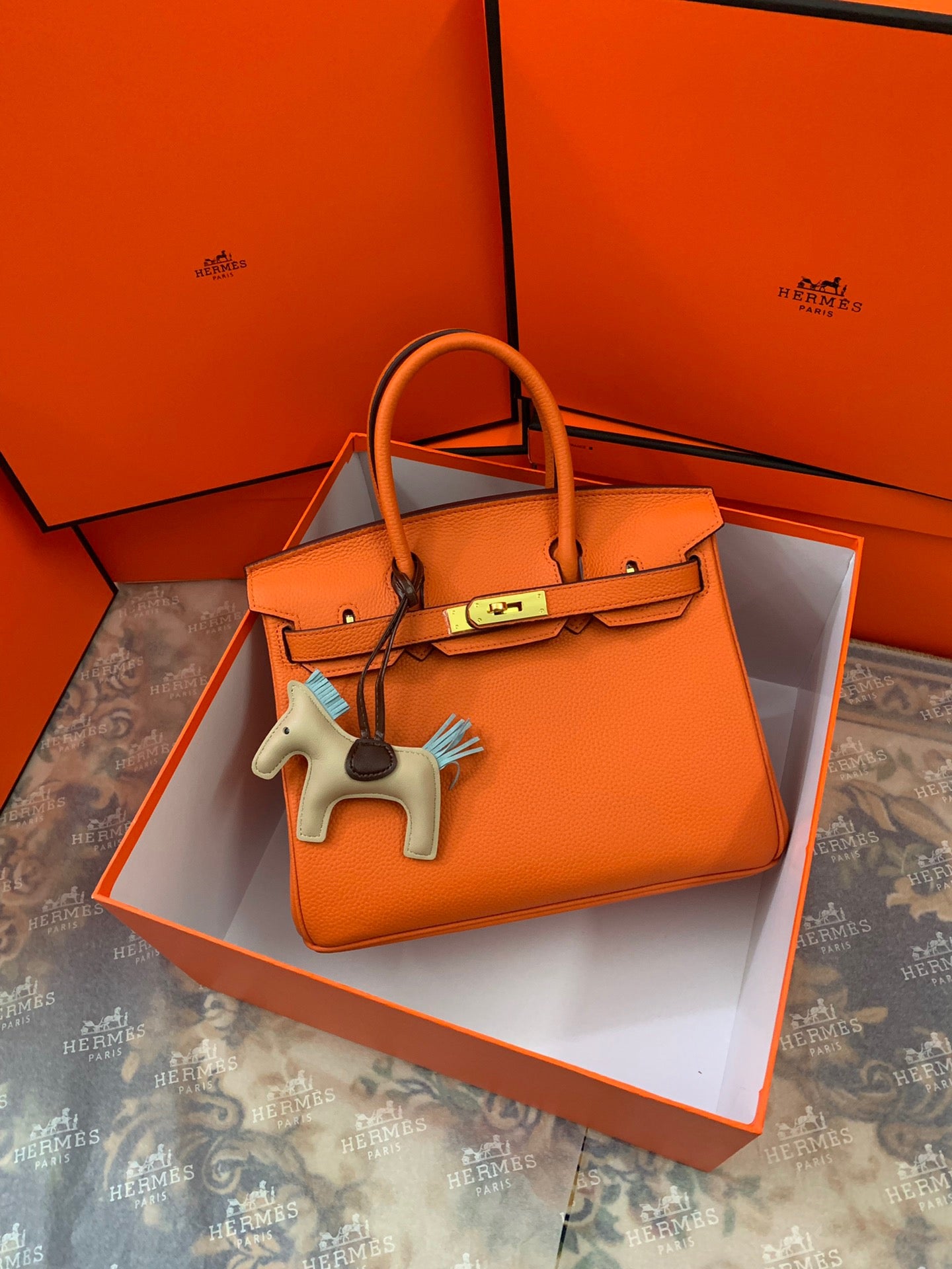 Birkin Platinum Color-Blocked Women's Bag from the Exclusive TOGO Series