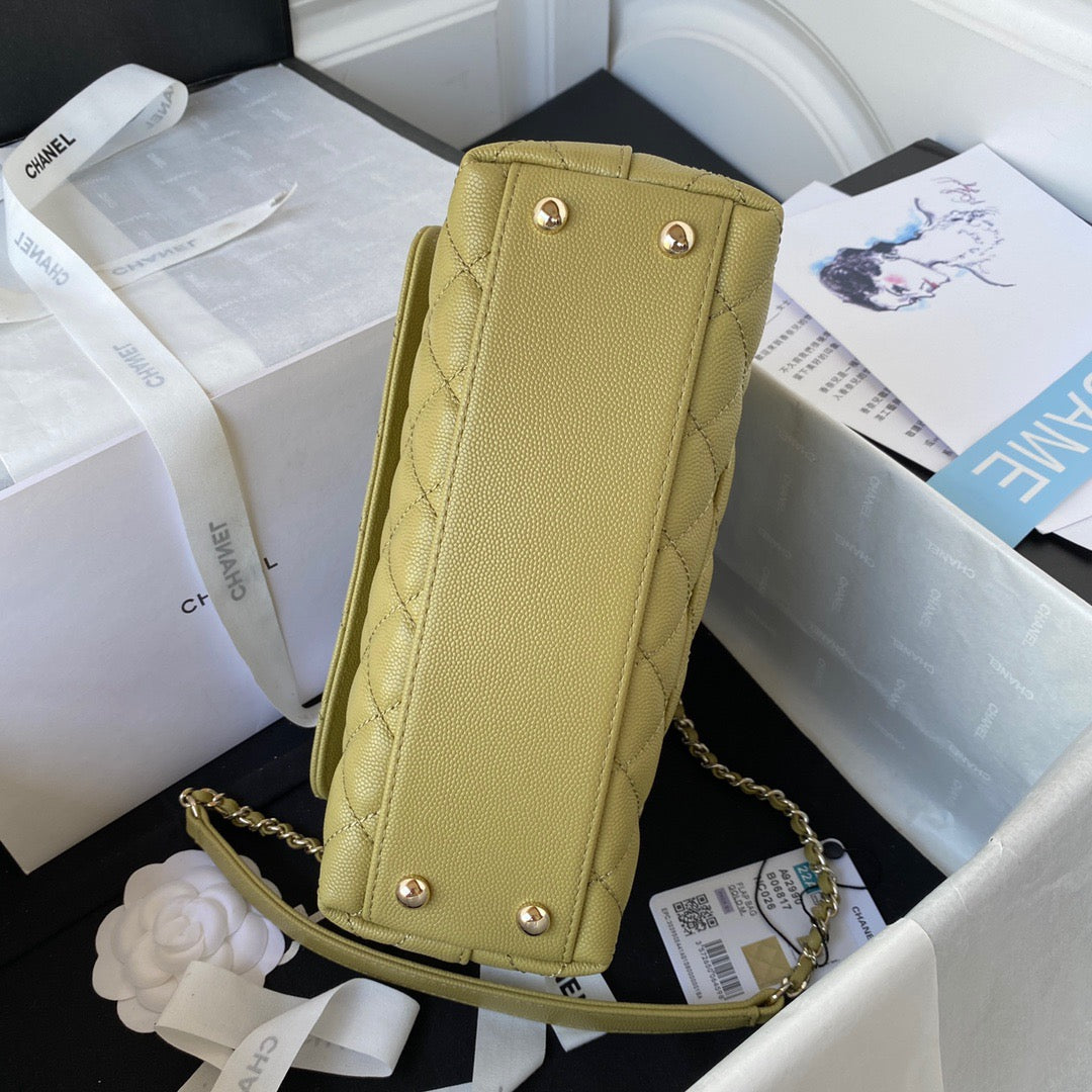 Mini Top Handle Flap Bag (𝑐𝑜𝑐𝑜 ℎ𝑎𝑛𝑑𝑙𝑒)