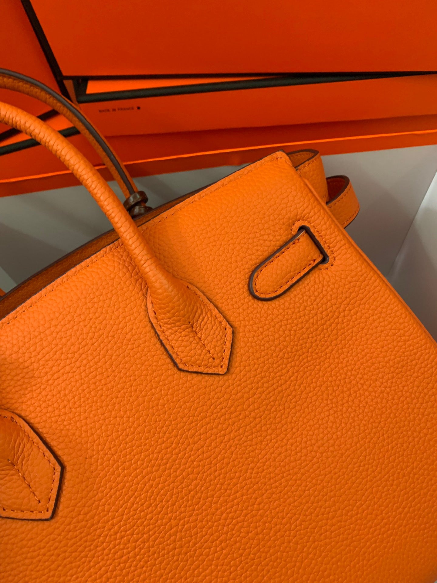 Birkin Platinum Color-Blocked Women's Bag from the Exclusive TOGO Series