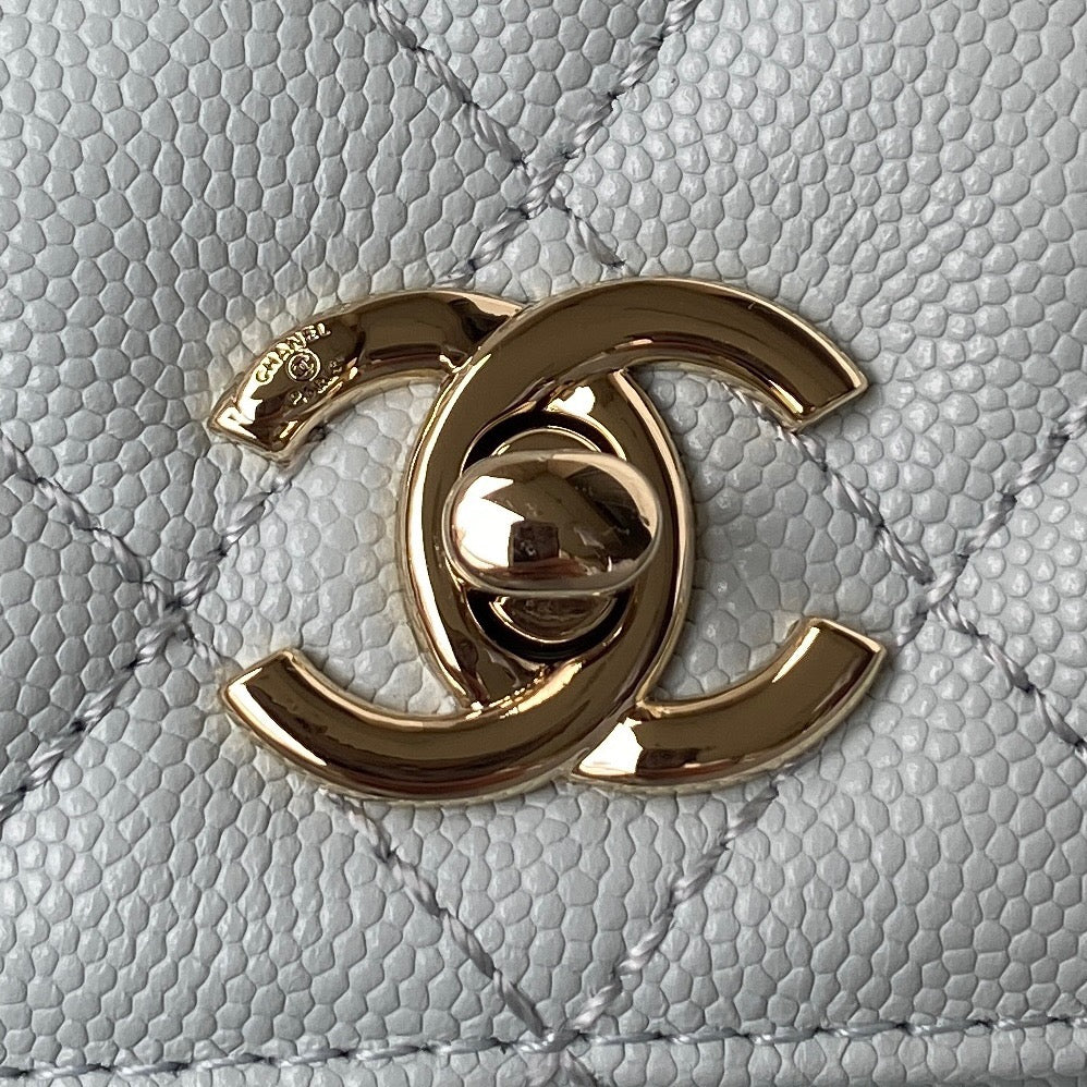 Mini Top Handle Flap Bag (𝑐𝑜𝑐𝑜 ℎ𝑎𝑛𝑑𝑙𝑒)