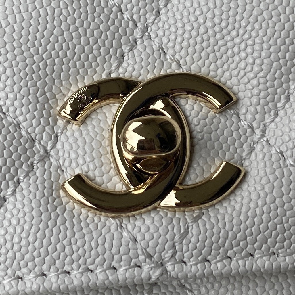 Mini Top Handle Flap Bag (𝑐𝑜𝑐𝑜 ℎ𝑎𝑛𝑑𝑙𝑒)
