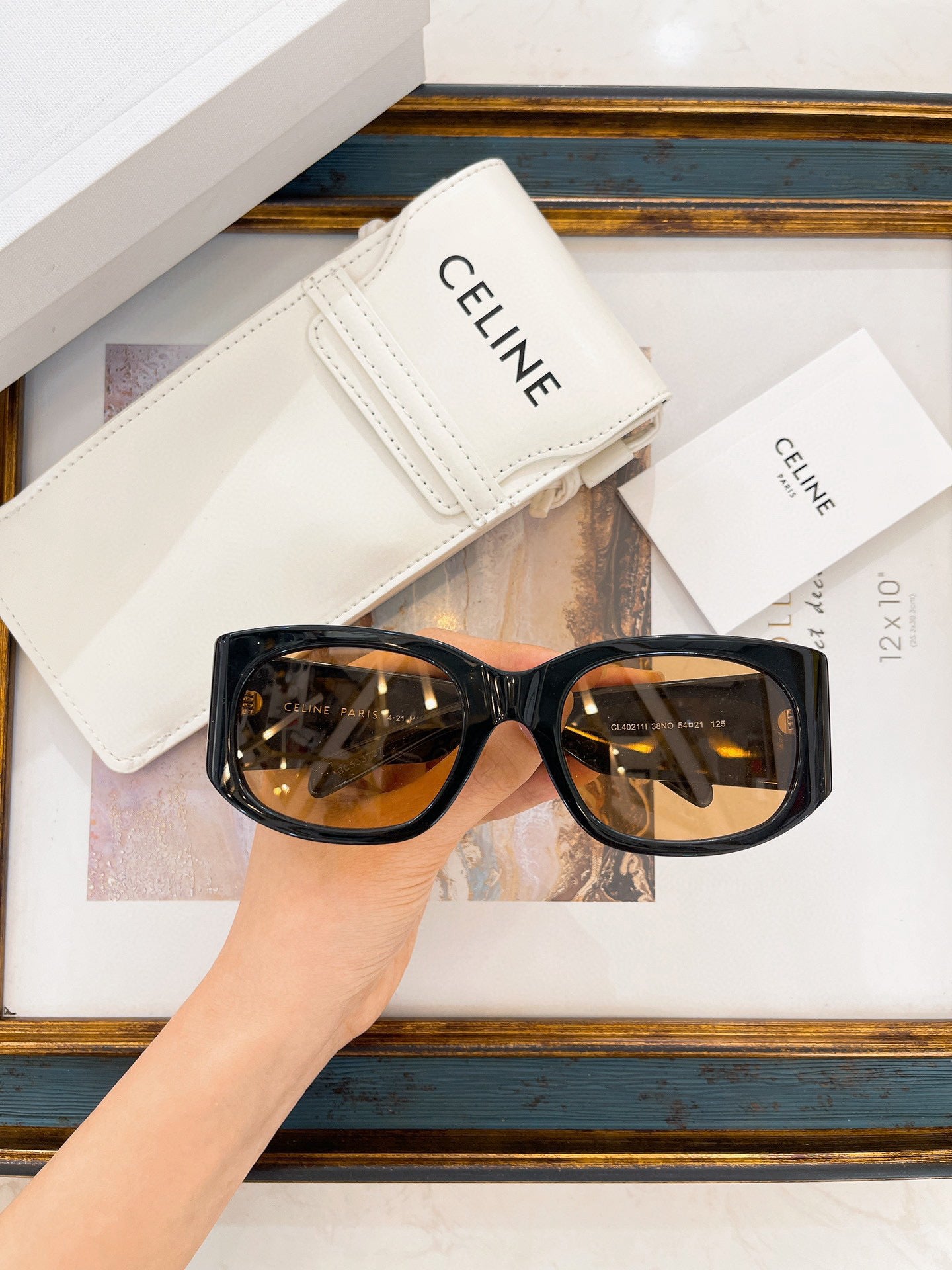 Timeless Elegance with TRIOMPHE XL 01 Sunglasses