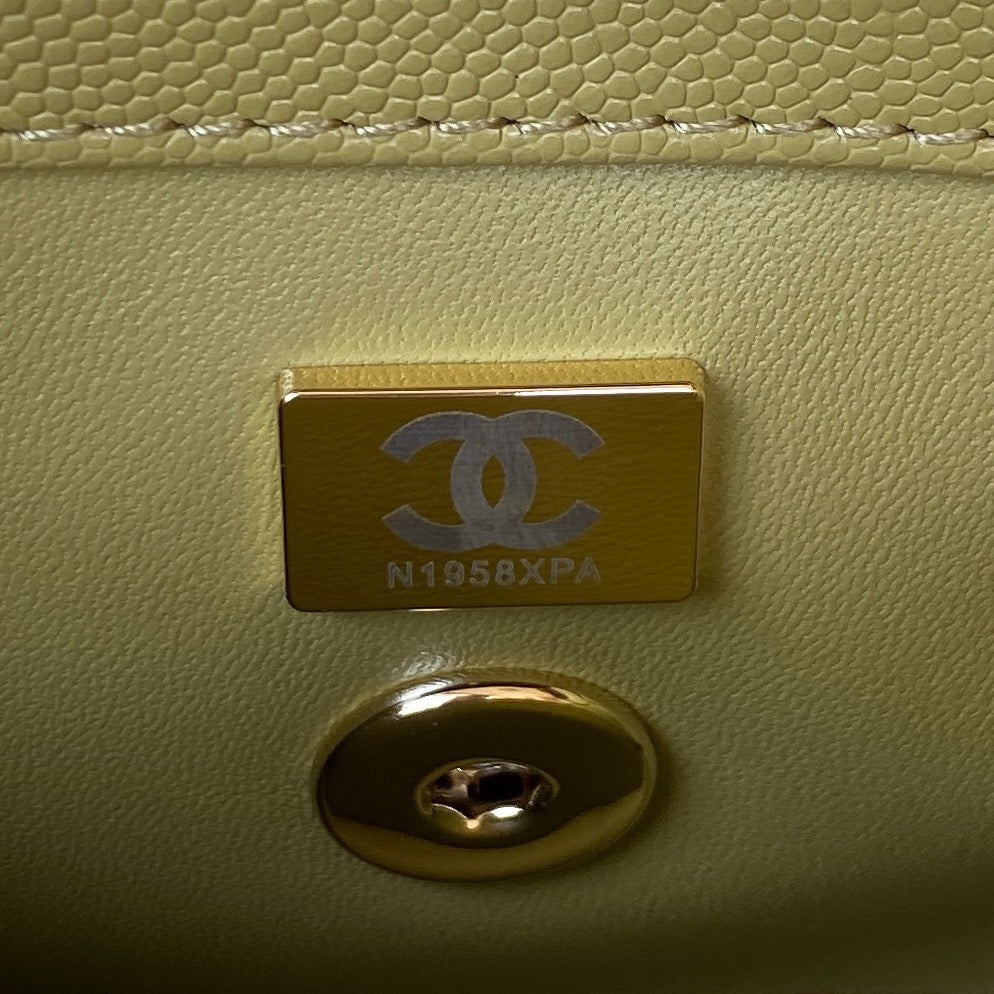Mini Top Handle Flap Bag (𝑐𝑜𝑐𝑜 ℎ𝑎𝑛𝑑𝑙𝑒)