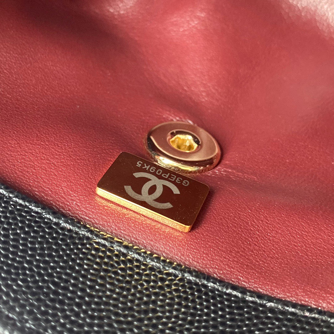 Mini Top Handle Flap Bag (𝑐𝑜𝑐𝑜 ℎ𝑎𝑛𝑑𝑙𝑒)