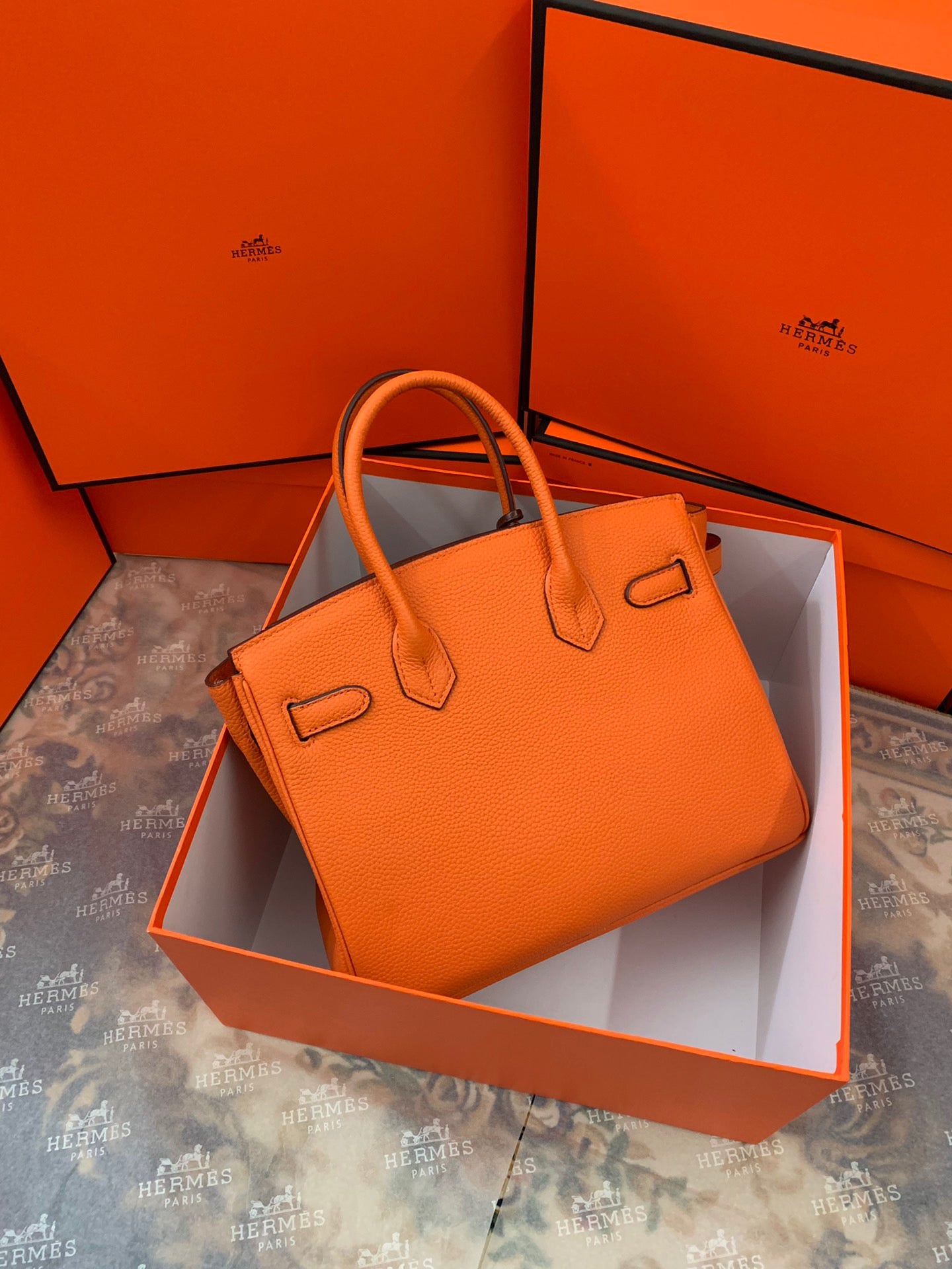 Birkin Platinum Color-Blocked Women's Bag from the Exclusive TOGO Series