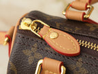 Nano Speedy Bag | Vivienne Print |
