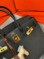 Birkin Platinum Color-Blocked Women's Bag from the Exclusive TOGO Series