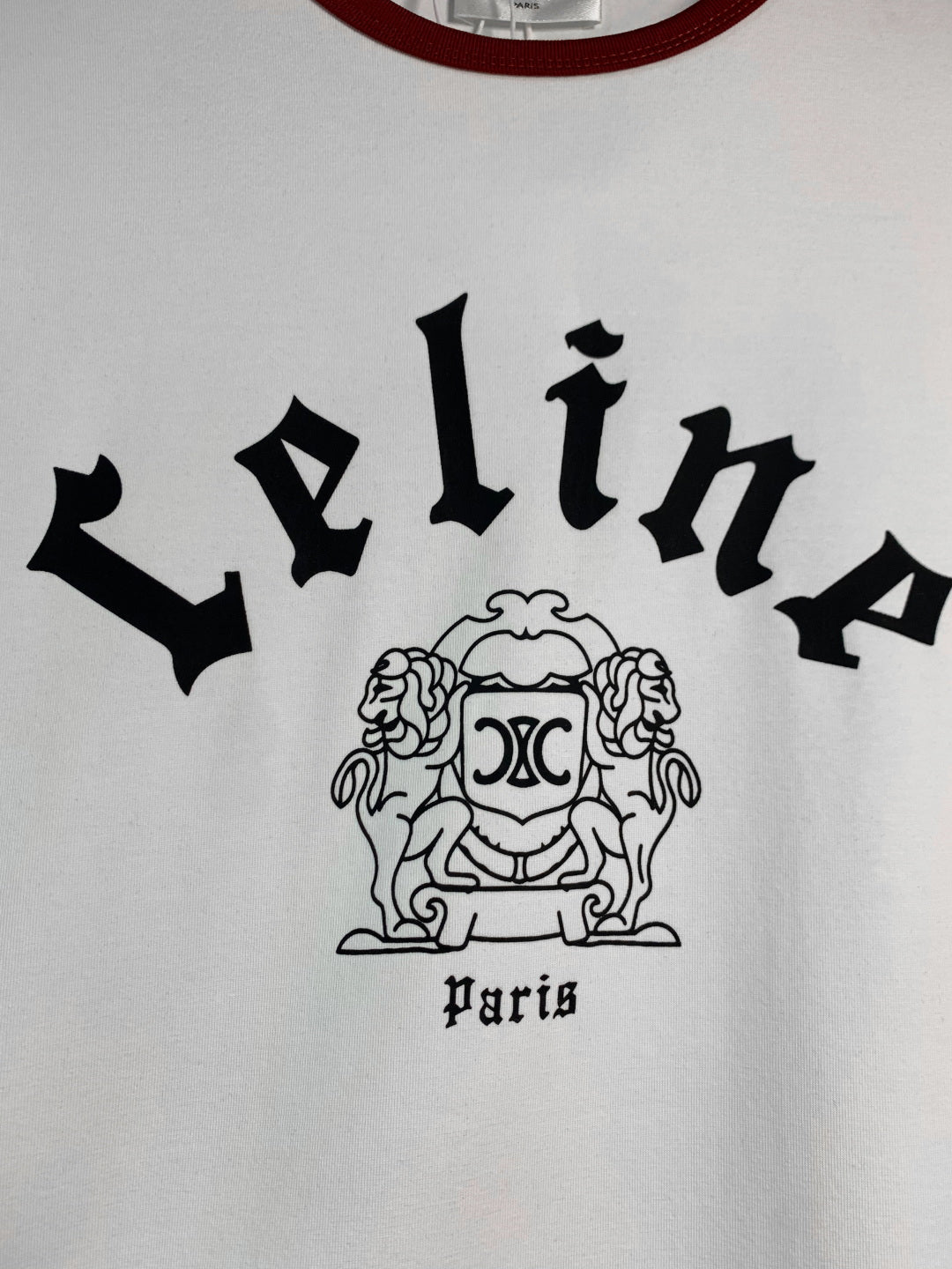 Unisex Velvet Lettering T-Shirt – Oversized Fit