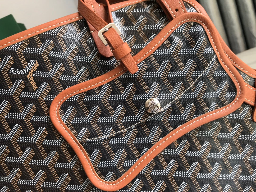 Chien Gris & Pocket Pet Carrier