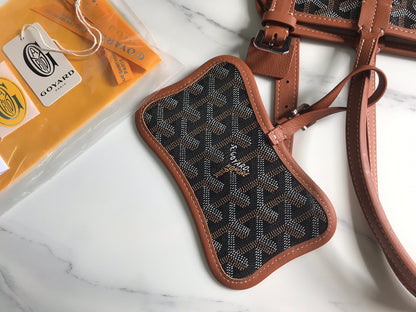 Chien Gris & Pocket Pet Carrier