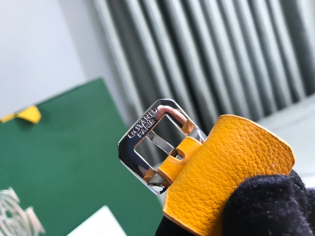 Chien Gris & Pocket Pet Carrier