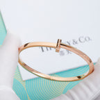 T1 Wide Polished Bangle |Top Tier|