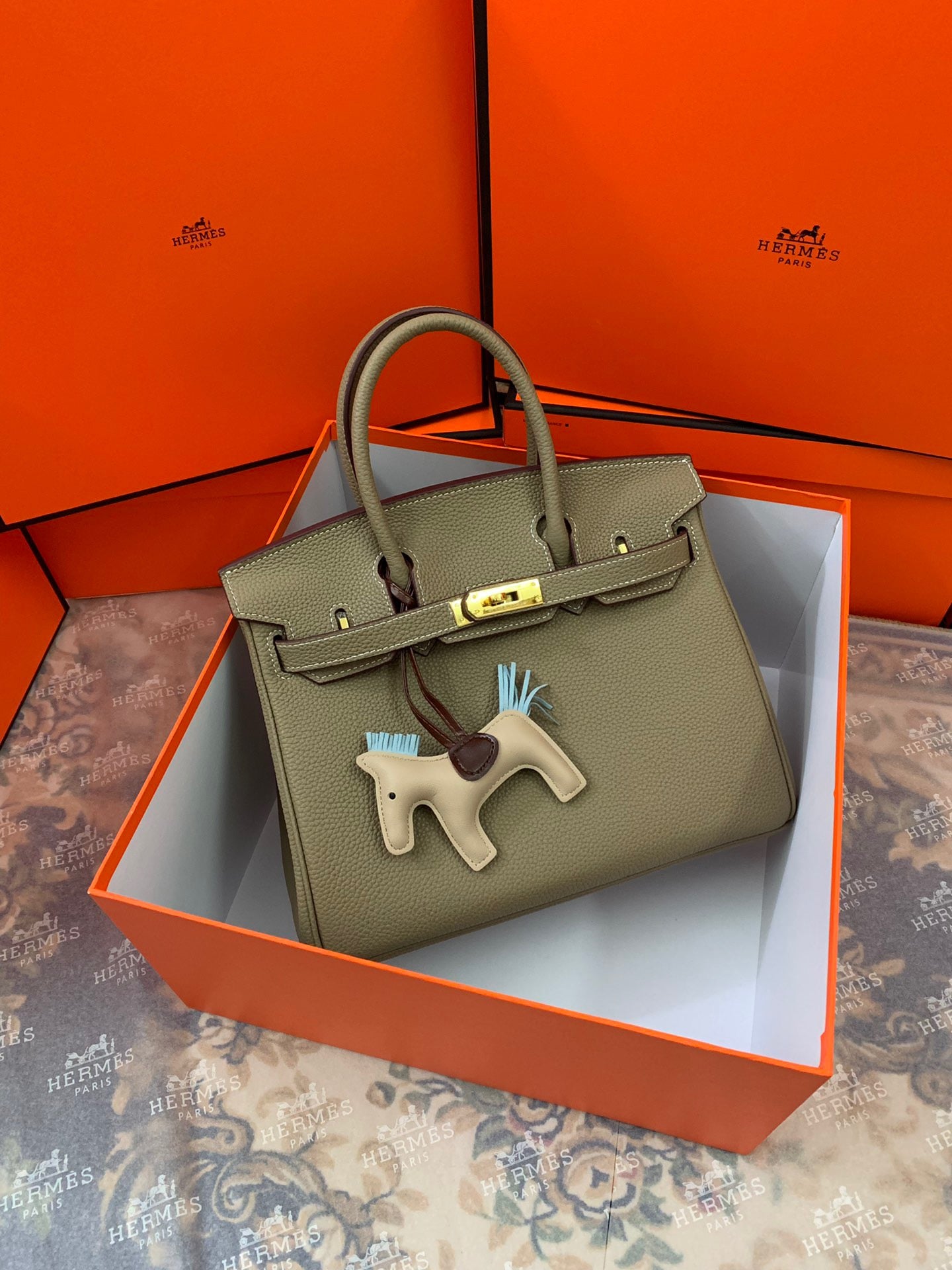 Birkin Platinum Color-Blocked Women's Bag from the Exclusive TOGO Series