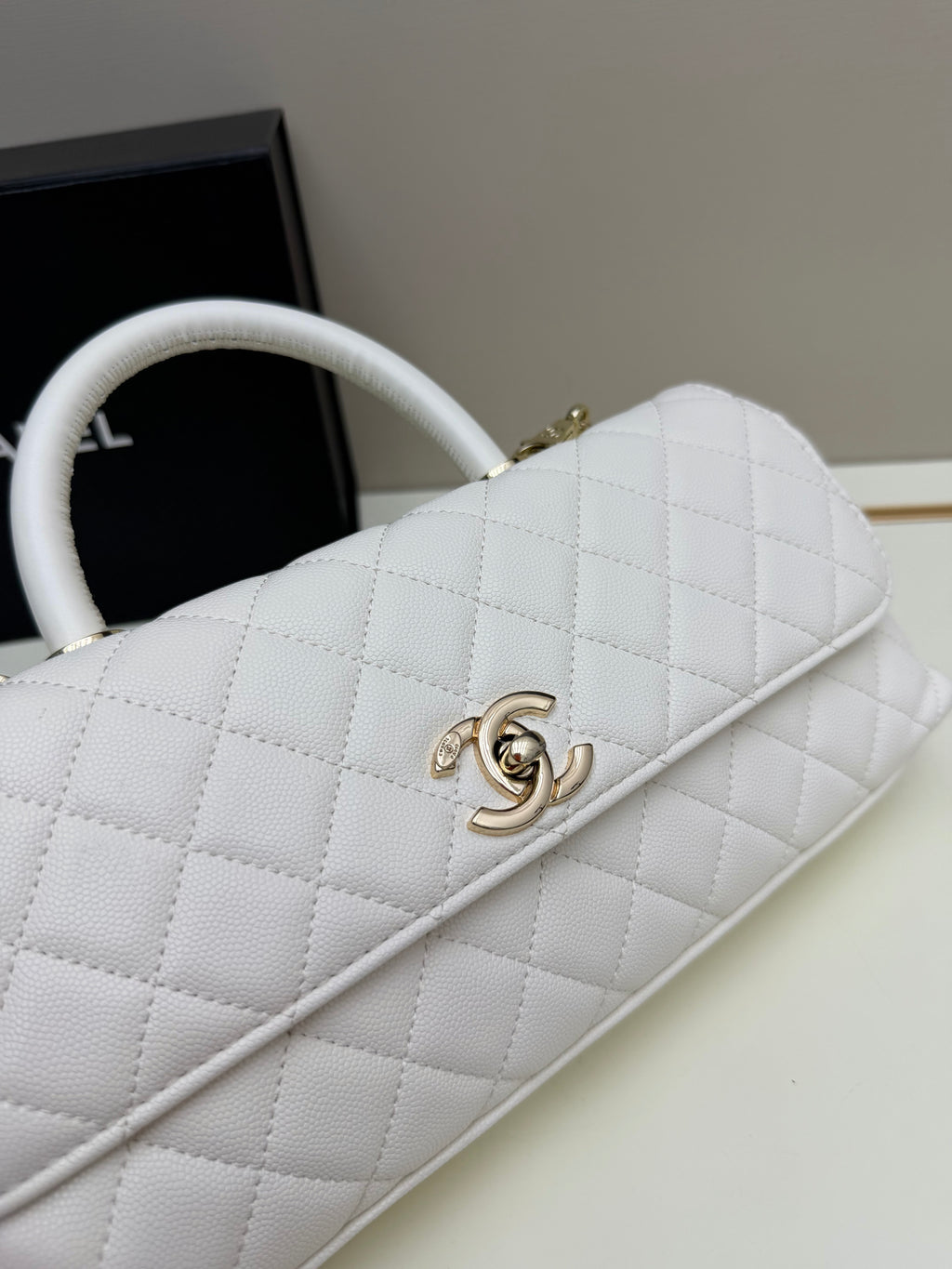 26P Coco Handle Horizontal Bag