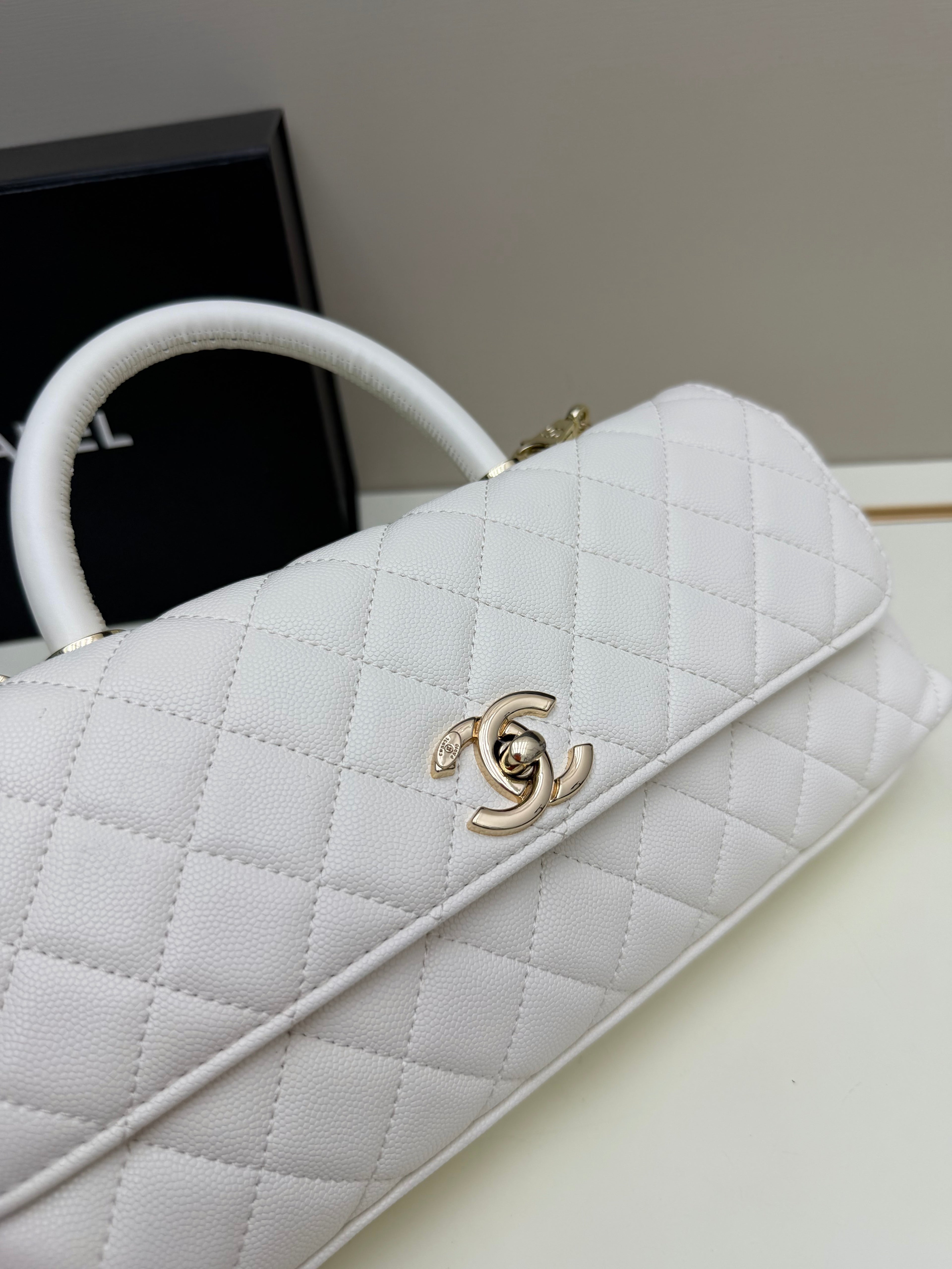 26P Coco Handle Horizontal Bag