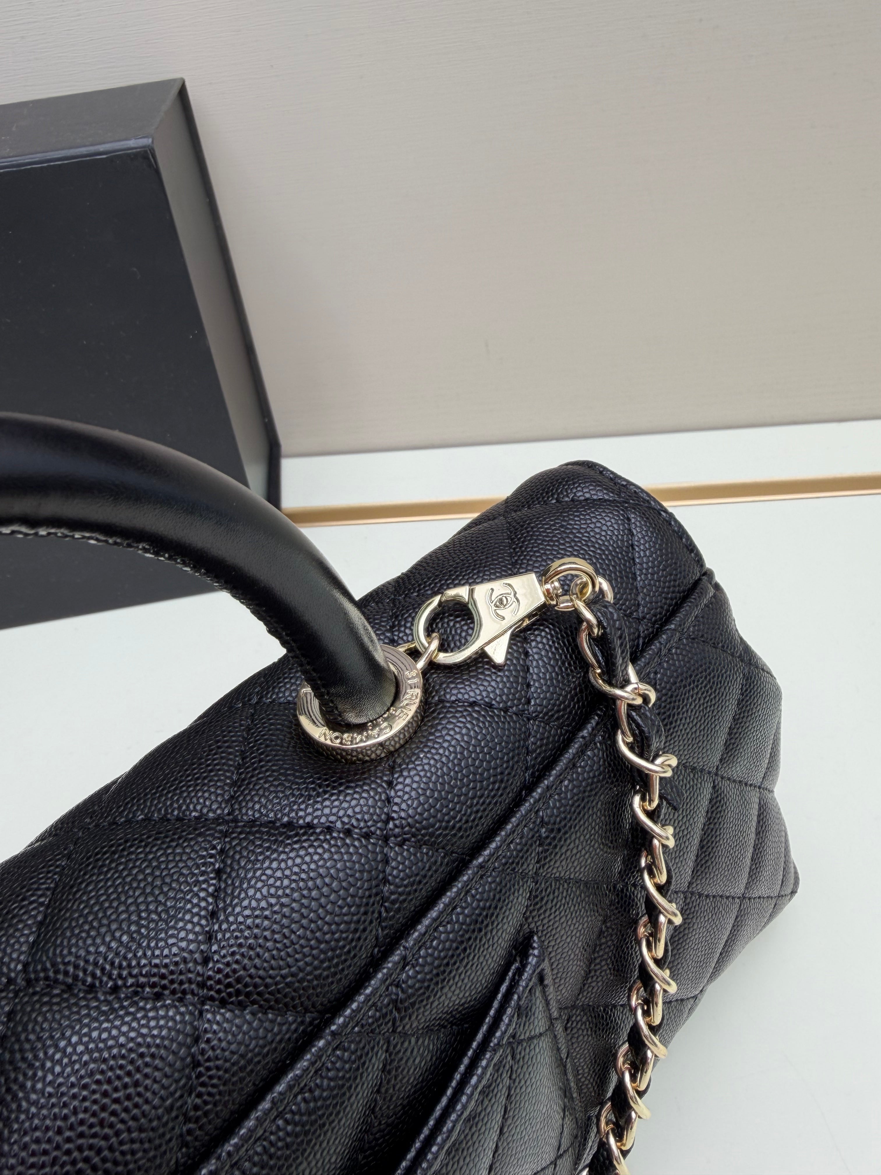 26P Coco Handle Horizontal Bag