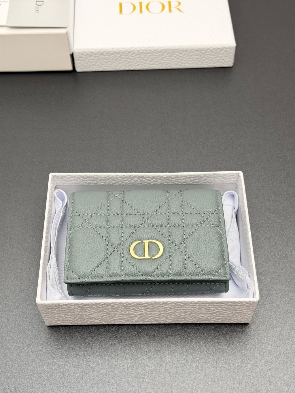 Cato Glycine Quilted Leather Wallet  (Premium Quality )