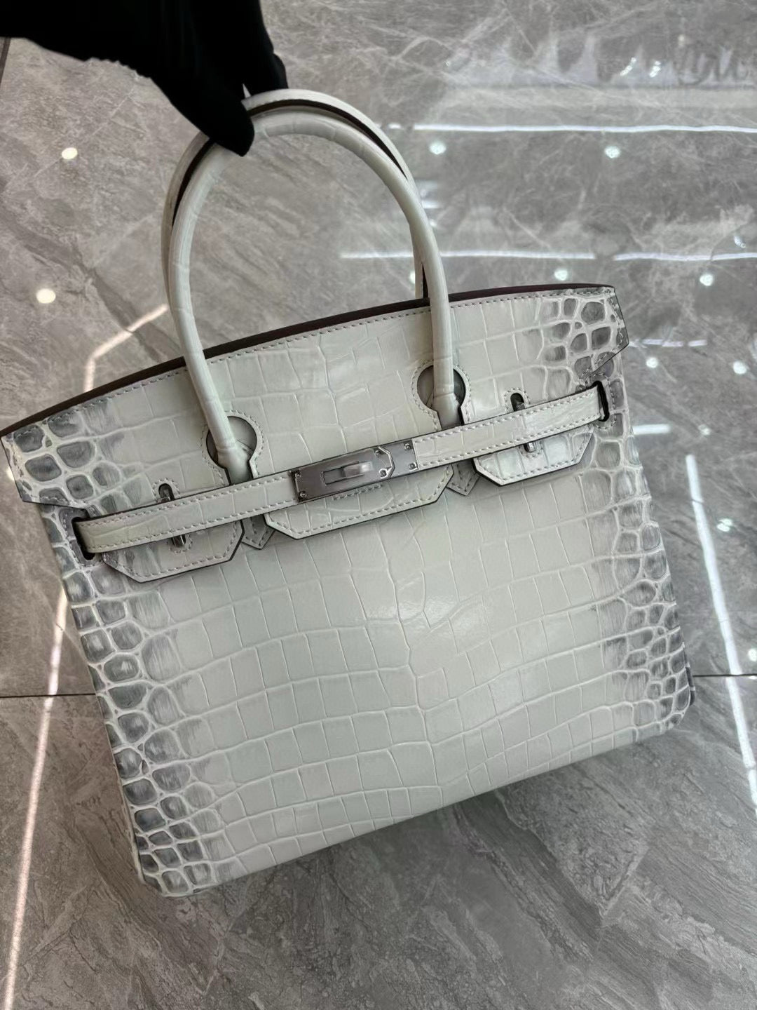 Her*mes Crocodile Pattern Birkin Bag