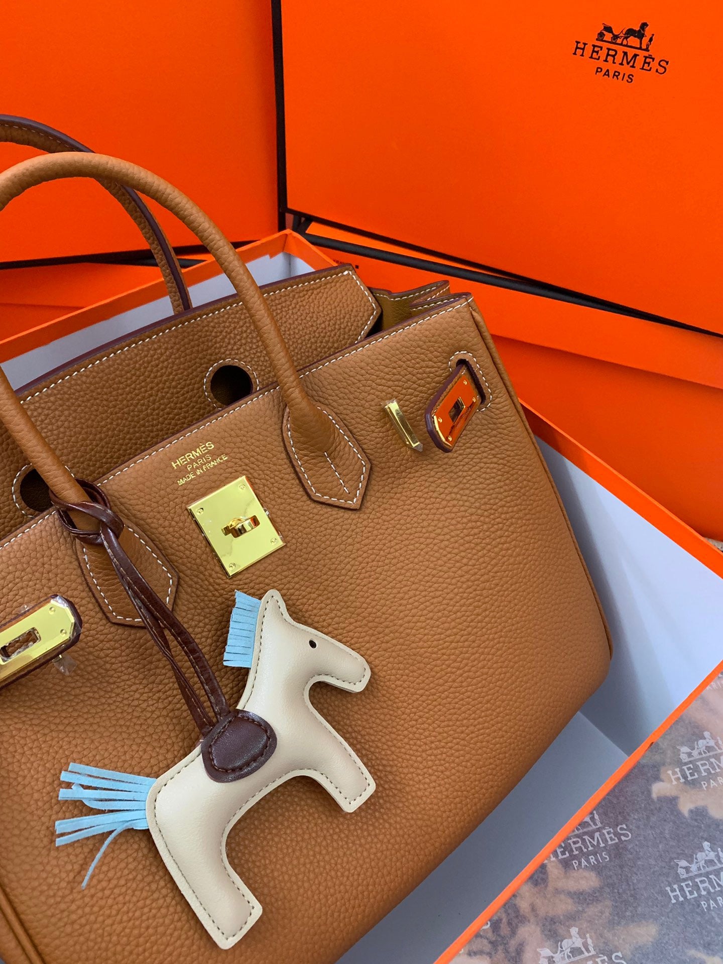 Birkin Platinum Color-Blocked Women's Bag from the Exclusive TOGO Series