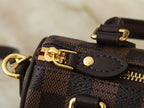 Nano Speedy Bag | Vivienne Print |