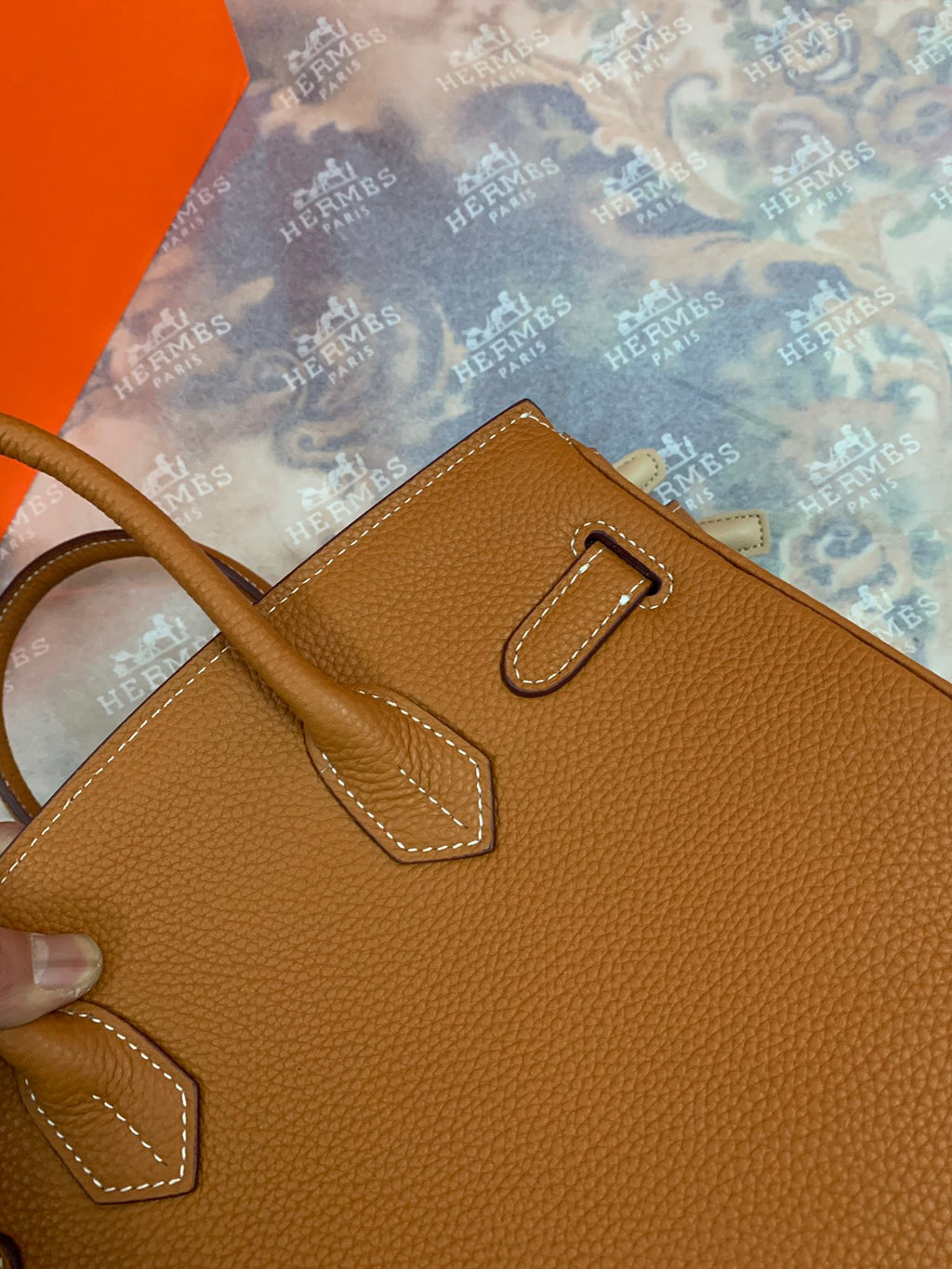 Birkin Platinum Color-Blocked Women's Bag from the Exclusive TOGO Series