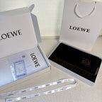 LW Double-Sided Colorblock Cashmere Scarf