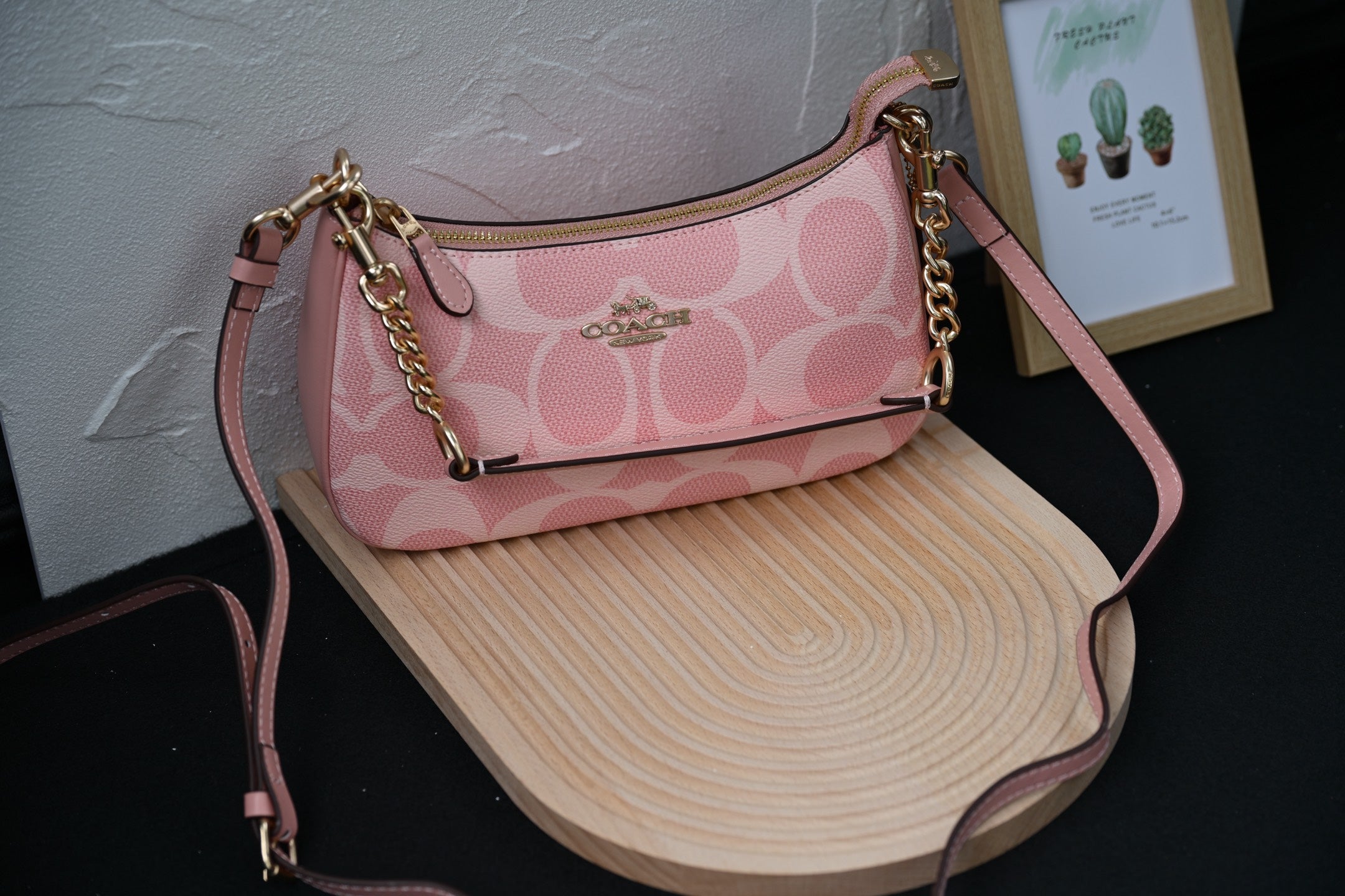 C Ter  shoulder bag Jacquard Crossbody