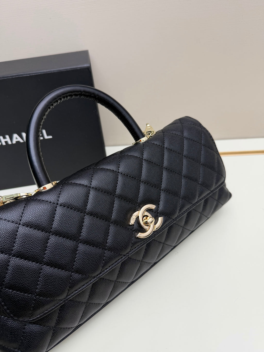 26P Coco Handle Horizontal Bag