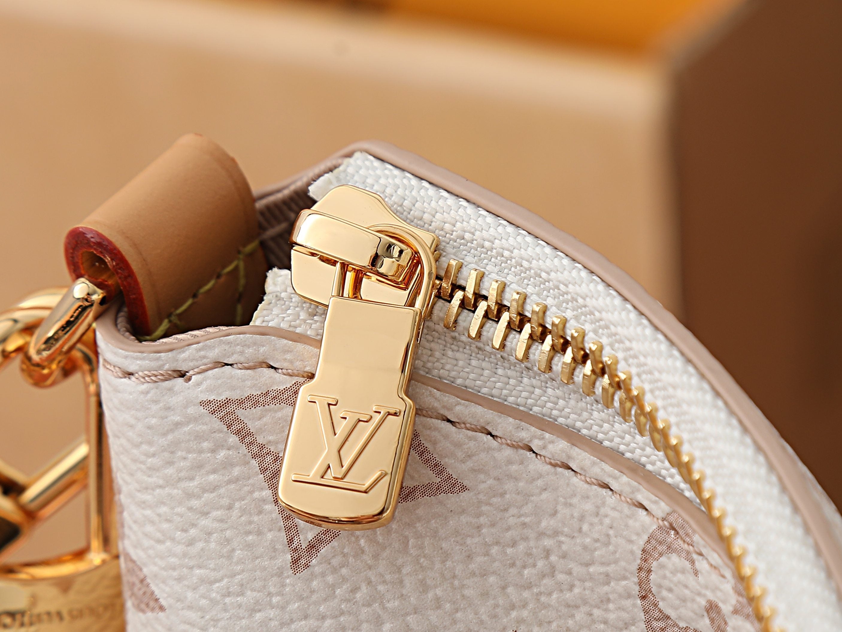 Multipass Bag | Monogram Dune Canvas |Premium Quality|