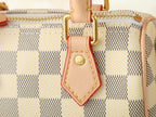 Nano Speedy Bag | Vivienne Print |