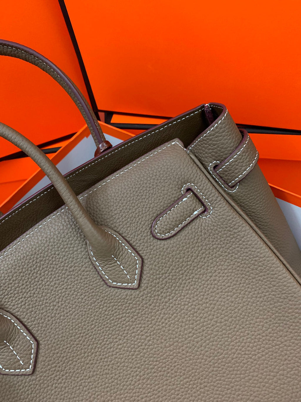 Birkin Platinum Color-Blocked Women's Bag from the Exclusive TOGO Series